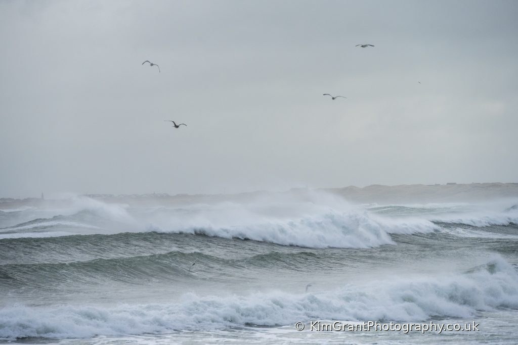 Our Changing Coast