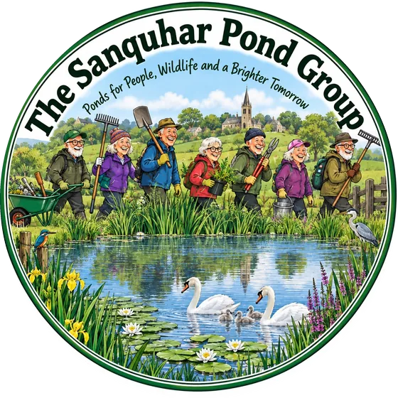 Sanquhar Pond Group logo